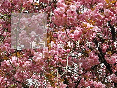信用卡逾期3年了 我想还 信用卡逾期3年了 我想还